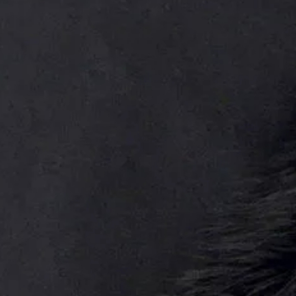 LOUIS VUITTON MONOGRAM SILK WOOL FUR SCARF/81654 - Picture 6 of 13